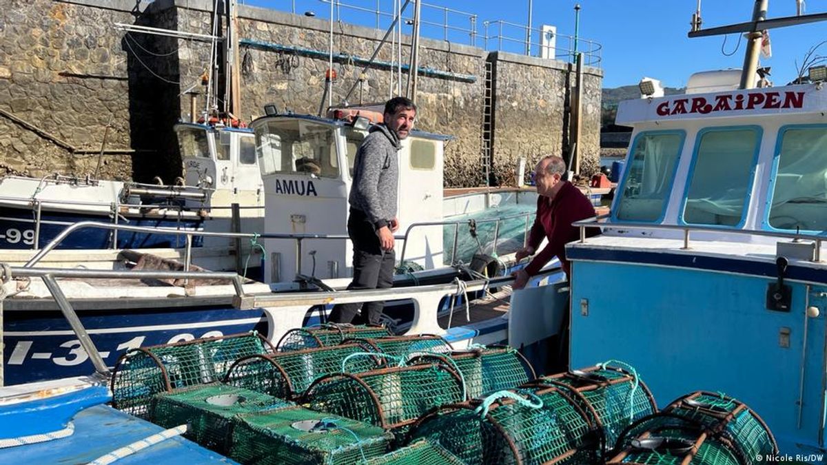Եվրոպայի օձաձկների միլիարդավոր եվրոյի առևտուրը վտանգում է տեսակի գոյությունը